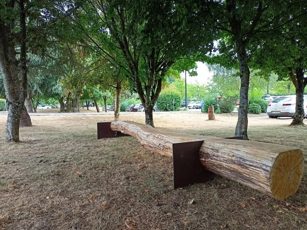 Bois d'oeuvre et scupture_ (5)