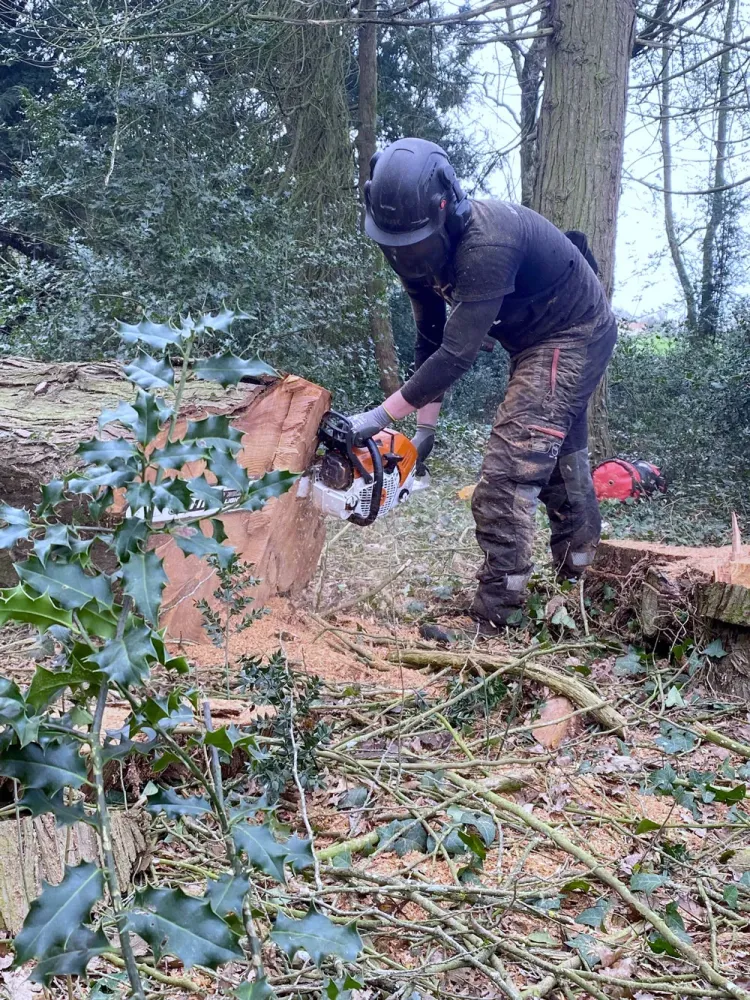 broyage-bois-Bourguibois