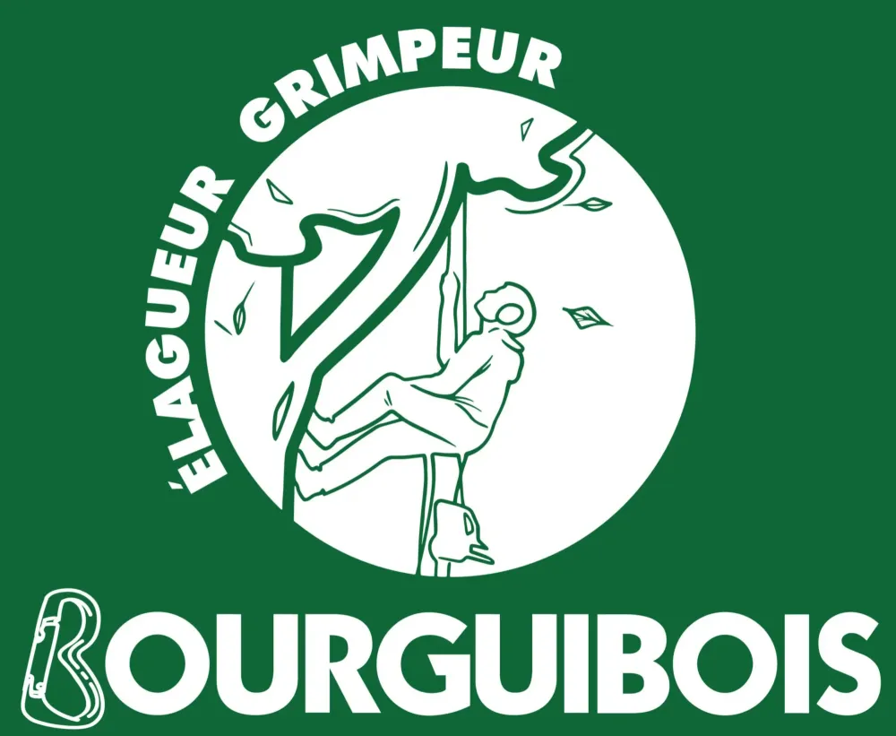 Nouveau Logo 1